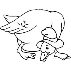 Coloriage Canard (Animaux) #185510 à imprimer et colorier