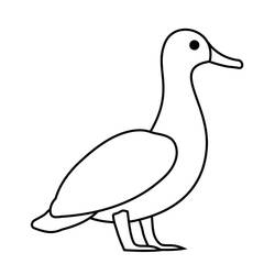 Coloriage Canard (Animaux) #185516 à imprimer et colorier