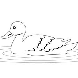 Coloriage Canard (Animaux) #185522 à imprimer et colorier