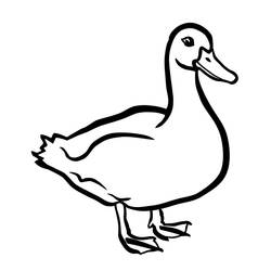 Coloriage Canard (Animaux) #185523 à imprimer et colorier