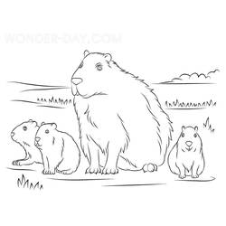 Dessin à colorier: Capybara (Animaux) #207599 - Coloriages à Imprimer Gratuits