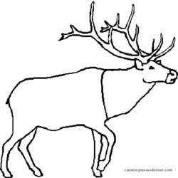 Dessin à colorier: Caribou (Animaux) #1543 - Coloriages à Imprimer