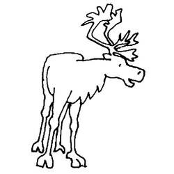 Dessin à colorier: Caribou (Animaux) #1549 - Coloriages à imprimer