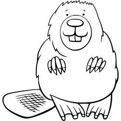 Coloriage Castor (Animaux) #207210 à imprimer et colorier