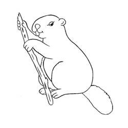 Coloriage Castor (Animaux) #207217 à imprimer et colorier