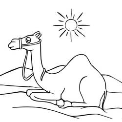Coloriage Chameau (Animaux) #205499 à imprimer et colorier