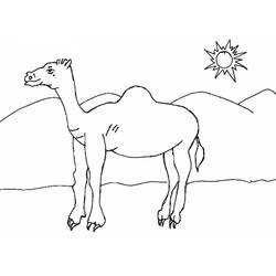 Coloriage Chameau (Animaux) #205510, dessin gratuit prêt à imprimer