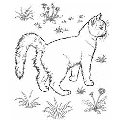 Dessin à colorier: Chat (Animaux) #174952 - Coloriages à Imprimer Gratuits