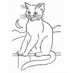 Dessin à colorier: Chat (Animaux) #174954 - Coloriages à Imprimer Gratuits