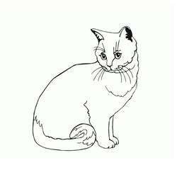Dessin à colorier: Chat (Animaux) #174969 - Coloriages à Imprimer Gratuits