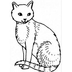 Dessin à colorier: Chat (Animaux) #174988 - Coloriages à Imprimer Gratuits