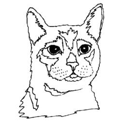 Dessin à colorier: Chat (Animaux) #1856 - Coloriages à Imprimer Gratuits