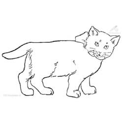 Dessin à colorier: Chat (Animaux) #1882 - Coloriages à Imprimer Gratuits