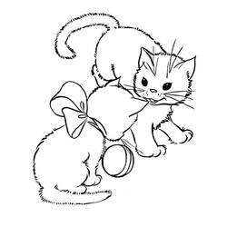 Coloriage Chaton (Animaux) #176605 à imprimer et colorier