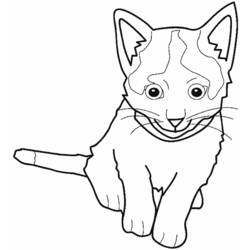 Dessin à colorier: Chaton (Animaux) #18081 - Coloriages à Imprimer Gratuits