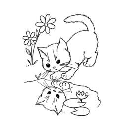 Coloriage Chaton (Animaux) #215379 à imprimer et colorier