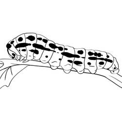 Coloriage Chenille (Animaux) #210386 à imprimer et colorier