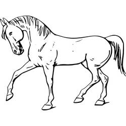 Coloriage Cheval (Animaux) #178258 à imprimer et colorier