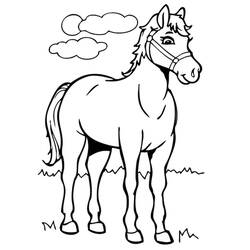 Coloriage Cheval (Animaux) #178263 à imprimer et colorier