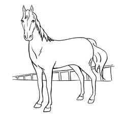 Coloriage Cheval (Animaux) #178267 à imprimer et colorier