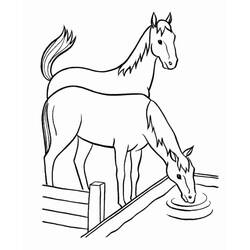 Joli coloriage Cheval (Animaux) #178276, prêt à imprimer