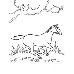 Coloriage Cheval (Animaux) #178282 à imprimer et colorier