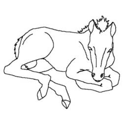 Dessin à colorier: Cheval (Animaux) #2296 - Coloriages à Imprimer Gratuits