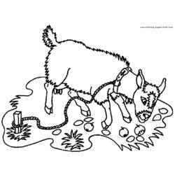 Dessin à colorier: Chèvre (Animaux) #2378 - Coloriages à Imprimer Gratuits