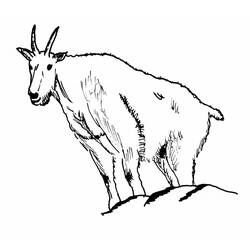 Dessin à colorier: Chèvre (Animaux) #2386 - Coloriages à Imprimer Gratuits