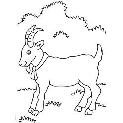 Dessin à colorier: Chèvre (Animaux) #2403 - Coloriages à Imprimer