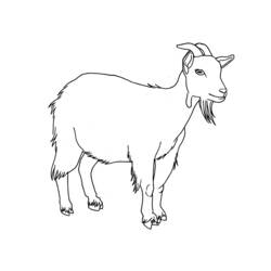 Dessin à colorier: Chèvre (Animaux) #2406 - Coloriages à Imprimer