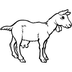 Dessin à colorier: Chèvre (Animaux) #2408 - Coloriages à imprimer