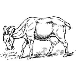 Dessin à colorier: Chèvre (Animaux) #2414 - Coloriages à Imprimer