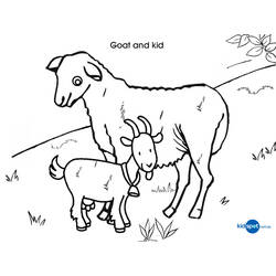 Dessin à colorier: Chèvre (Animaux) #2437 - Coloriages à Imprimer