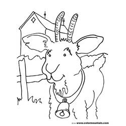 Dessin à colorier: Chèvre (Animaux) #2464 - Coloriages à Imprimer Gratuits