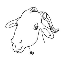 Dessin à colorier: Chèvre (Animaux) #2479 - Coloriages à imprimer