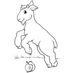 Dessin à colorier: Chèvre (Animaux) #2498 - Coloriages à Imprimer Gratuits