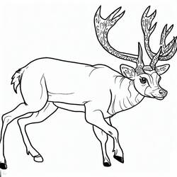 Coloriage Chevreuil (Animaux) #191039 à imprimer et colorier