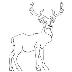 Coloriage Chevreuil (Animaux) #191056 à imprimer et colorier