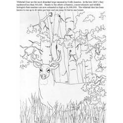 Dessin à colorier: Chevreuil (Animaux) #2635 - Coloriages à Imprimer Gratuits