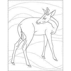 Dessin à colorier: Chevreuil (Animaux) #2685 - Coloriages à Imprimer Gratuits