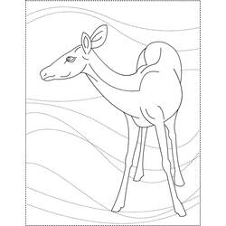 Dessin à colorier: Chevreuil (Animaux) #2734 - Coloriages à Imprimer Gratuits