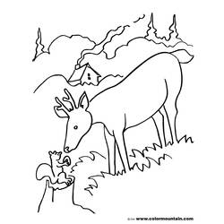 Dessin à colorier: Chevreuil (Animaux) #2753 - Coloriages à Imprimer Gratuits