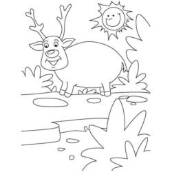 Dessin à colorier: Chevreuil (Animaux) #2758 - Coloriages à Imprimer Gratuits