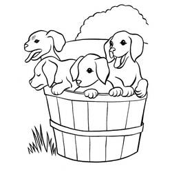 Coloriage Chien (Animaux) #182820 à imprimer et colorier