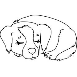 Coloriage Chien (Animaux) #182824 à imprimer et colorier
