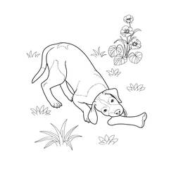 Dessin à colorier: Chien (Animaux) #3117 - Coloriages à Imprimer Gratuits