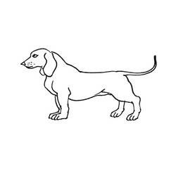 Dessin à colorier: Chien (Animaux) #3151 - Coloriages à Imprimer Gratuits