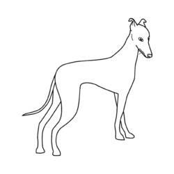 Dessin à colorier: Chien (Animaux) #3156 - Coloriages à Imprimer Gratuits