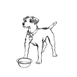 Dessin à colorier: Chien (Animaux) #3169 - Coloriages à Imprimer Gratuits